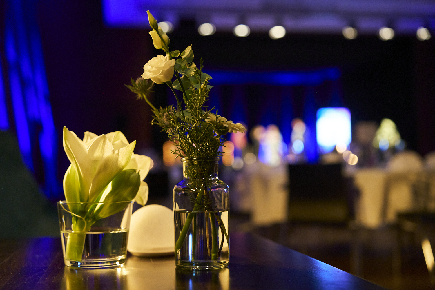 Eventfotograf Freiburg_001